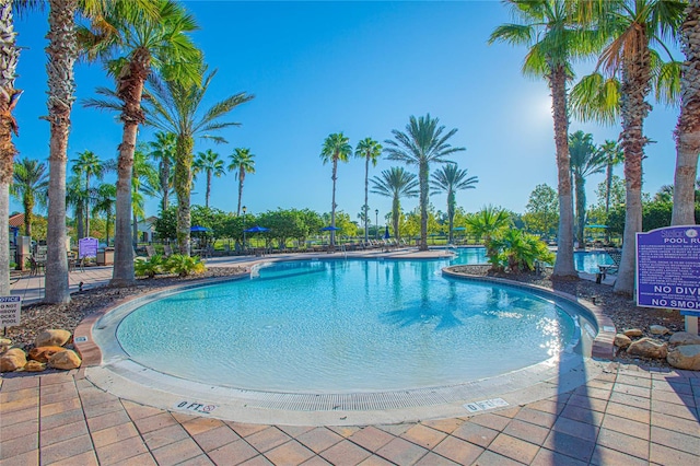 view of pool featuring a patio area