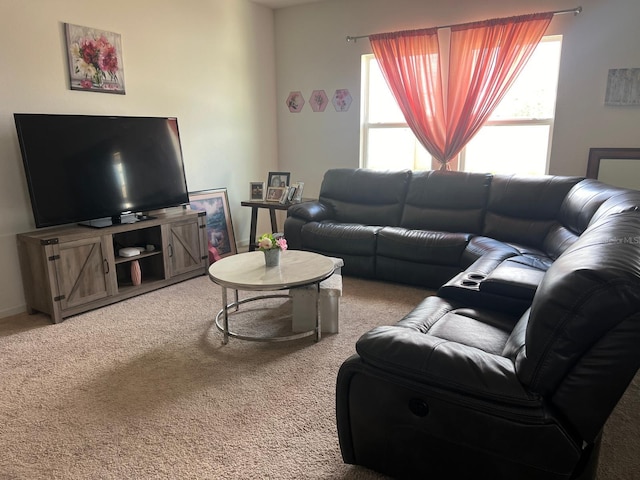 living room featuring carpet flooring