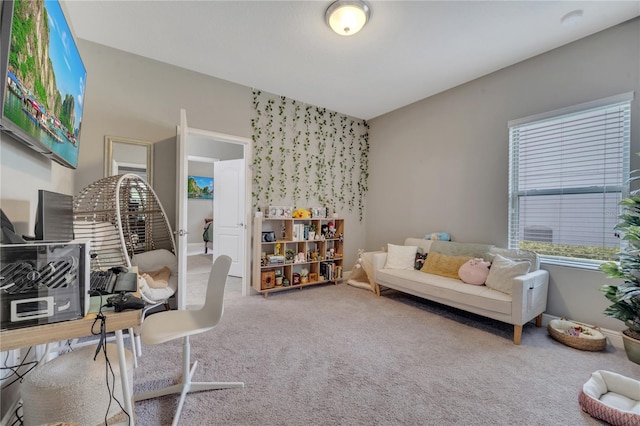 12151 Alder Branch Loop, Orlando, FL 32824 - carpeted office space with plenty of natural light