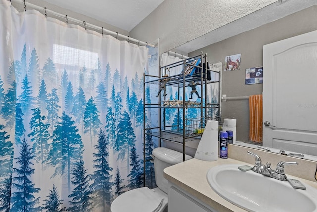 bathroom featuring curtained shower, toilet, and vanity