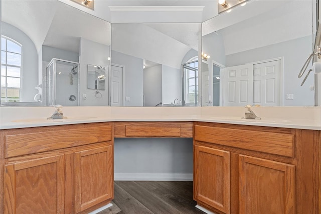 bathroom featuring a shower with shower door, hardwood / wood-style flooring, and vanity