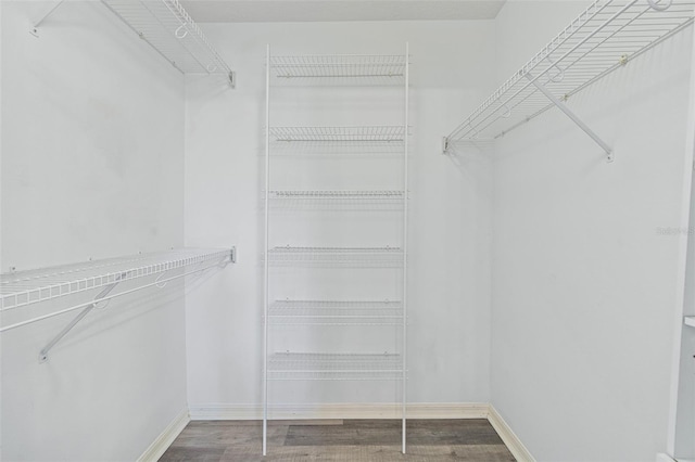 spacious closet with hardwood / wood-style flooring