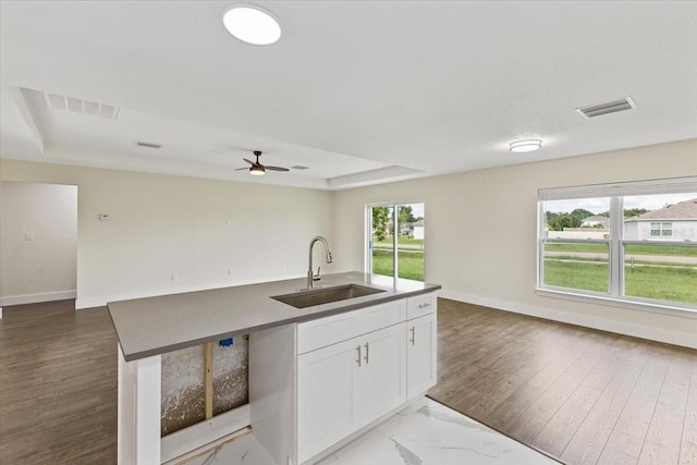 kitchen featuring ceiling fan, a raised ceiling, a kitchen island with sink, sink, and wood-type flooring