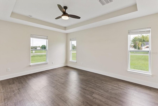 empty room featuring a healthy amount of sunlight, dark hardwood / wood-style flooring, and a raised ceiling