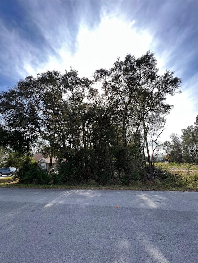 Bahia Ter, Ocala FL, 34472 land for sale