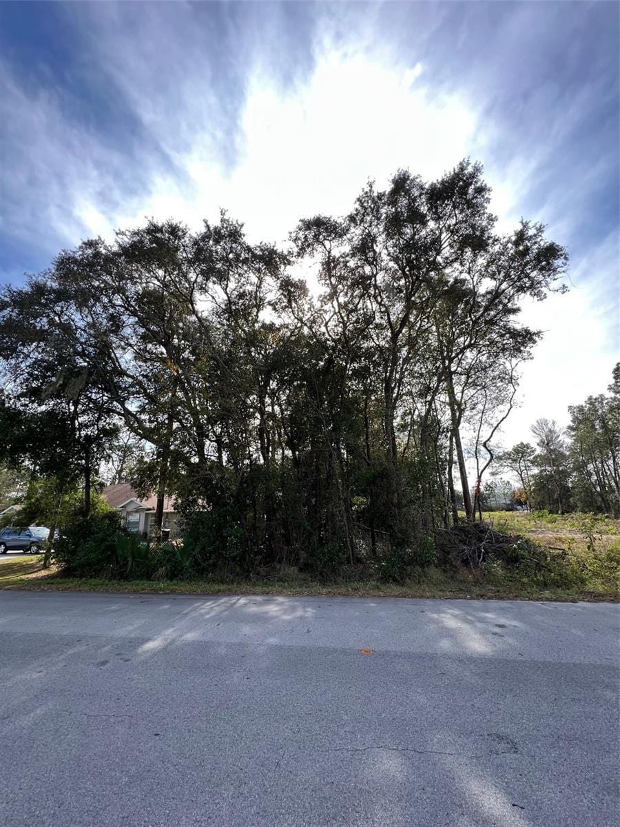 Bahia Ter, Ocala, FL 34472