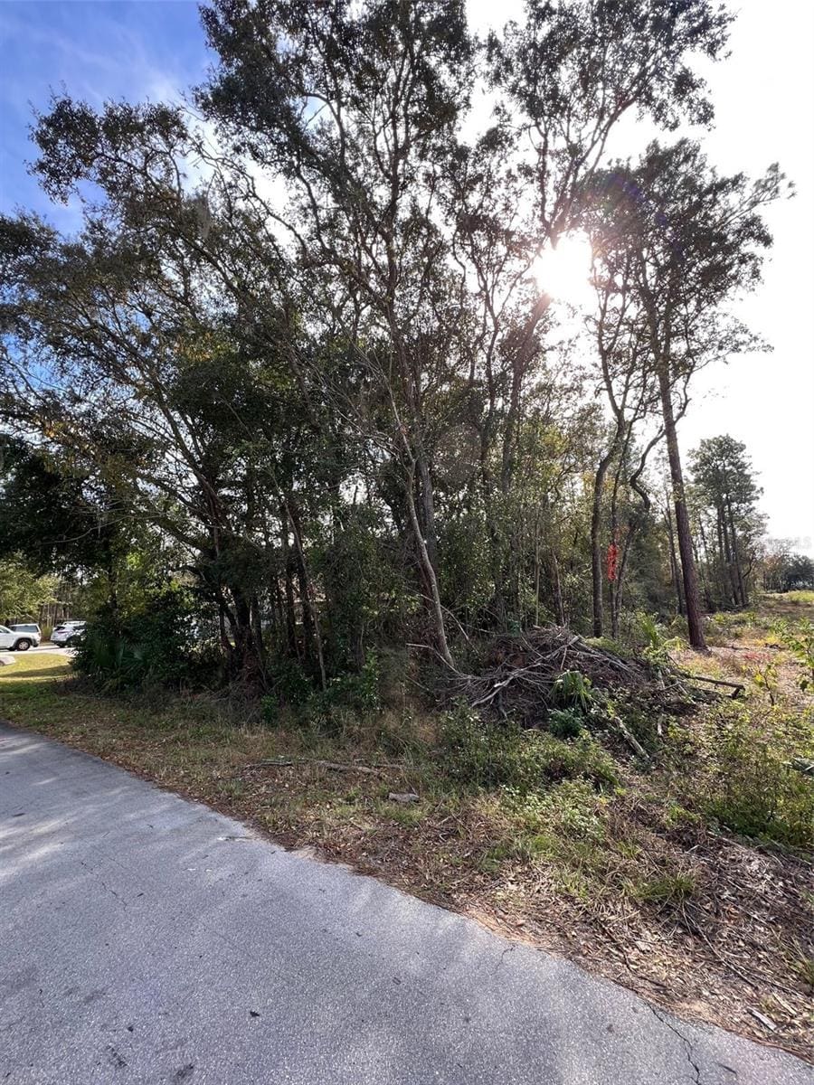 Bahia Ter, Ocala, FL 34472