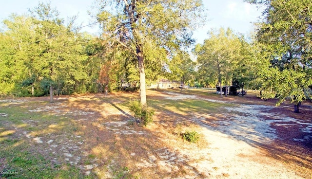 SE 92nd Ave, Summerfield FL, 34491 land for sale