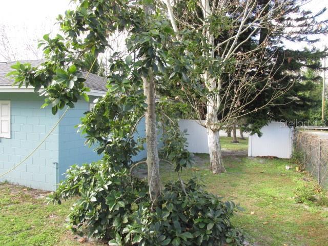 view of yard featuring a storage unit