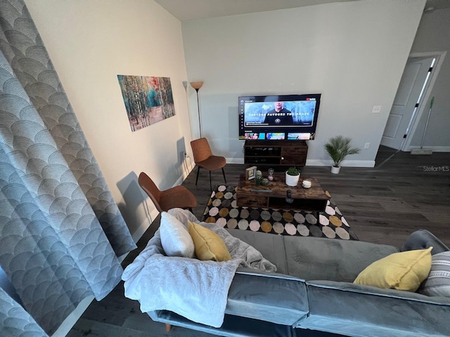 living room featuring hardwood / wood-style flooring