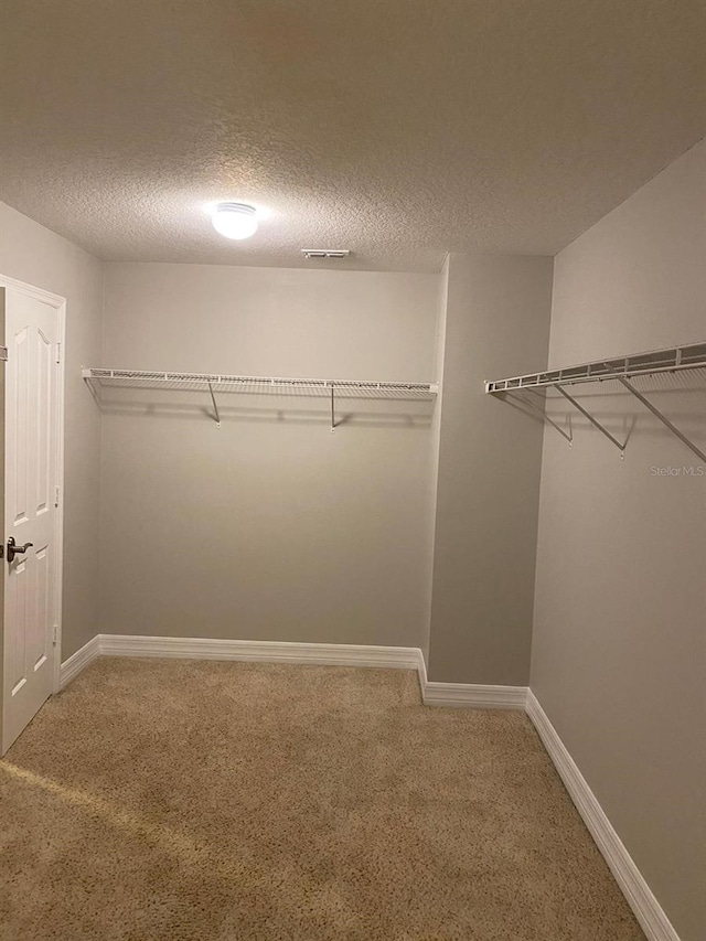 spacious closet with carpet