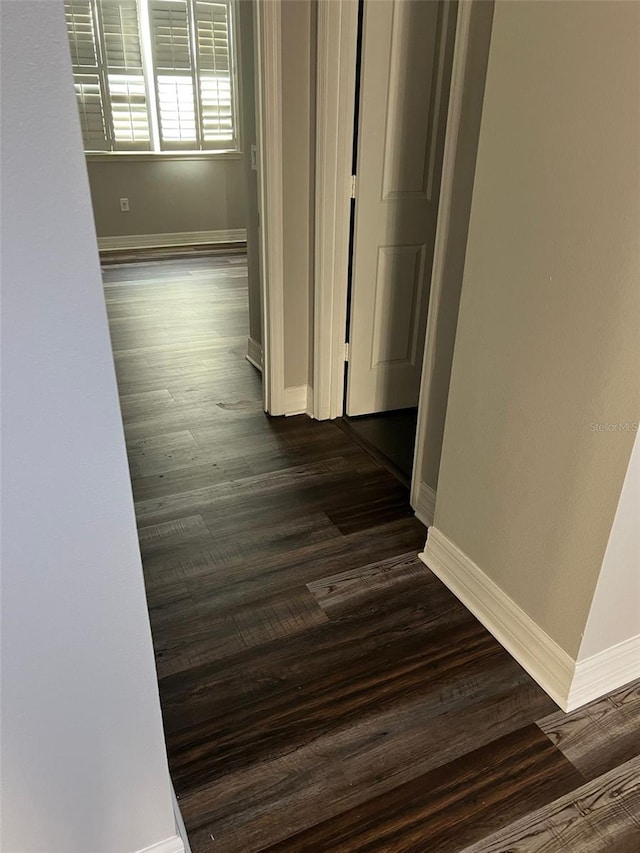 hall with dark wood-type flooring