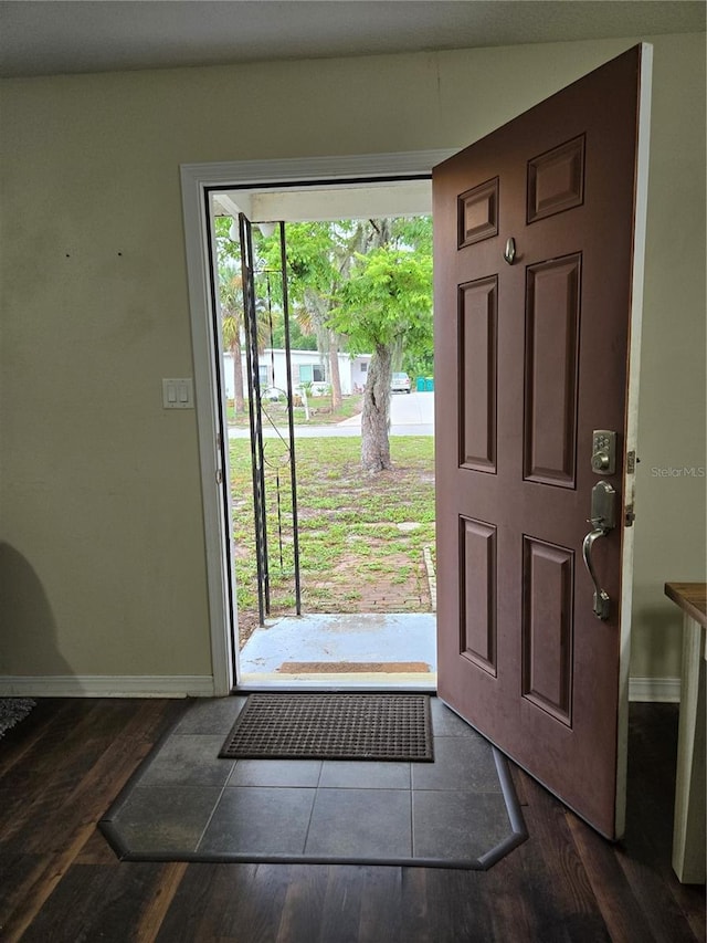 foyer with dark wood-type flooring