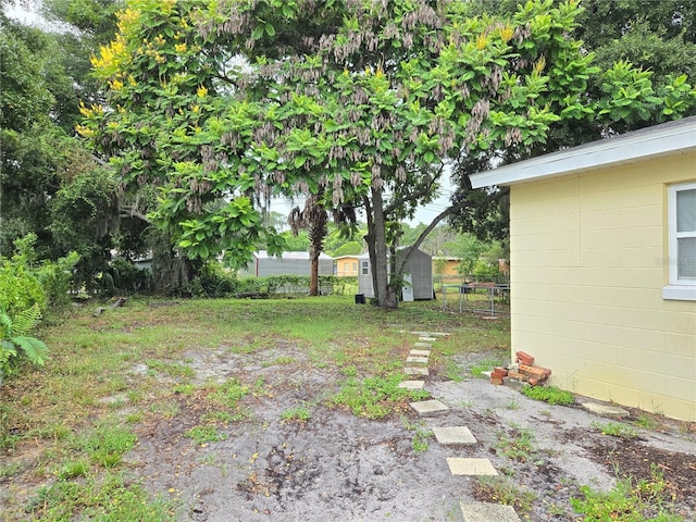 view of yard featuring a storage shed