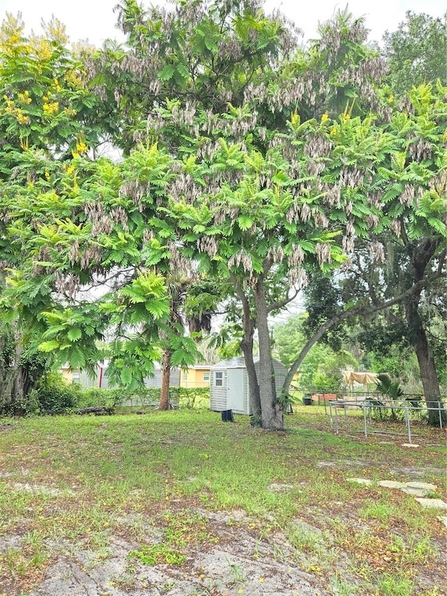 view of yard with a storage shed