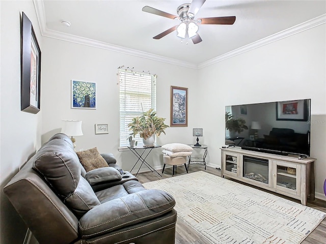 living room featuring ceiling fan, light hardwood / wood-style flooring, and ornamental molding