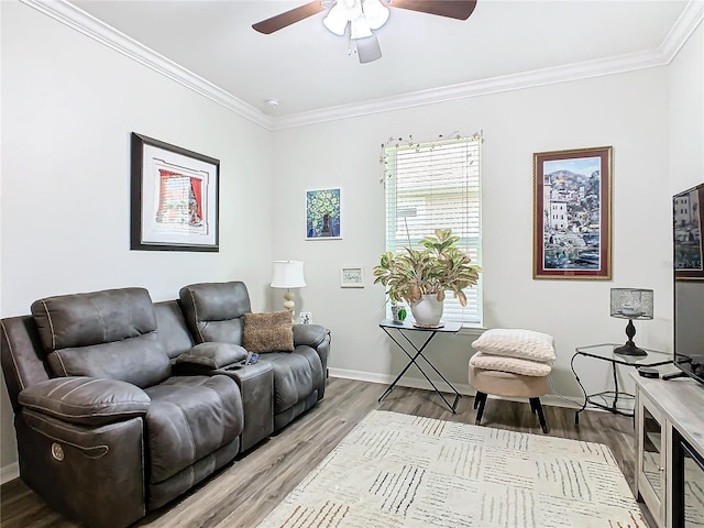 living room with light hardwood / wood-style floors, ceiling fan, and ornamental molding