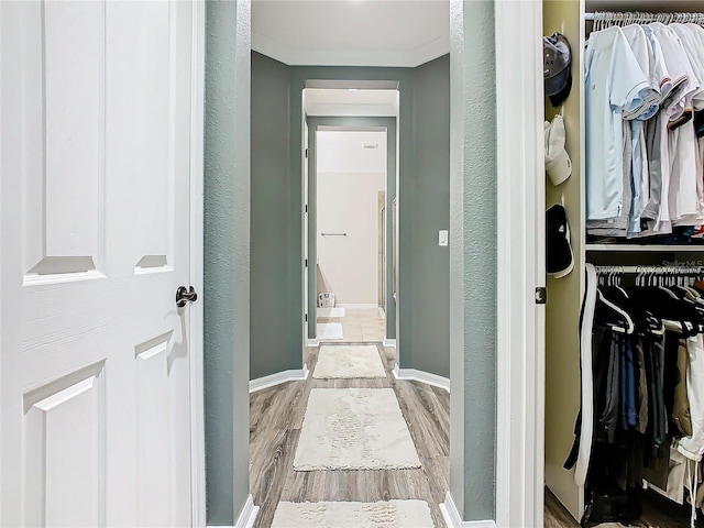 hall featuring light wood-type flooring