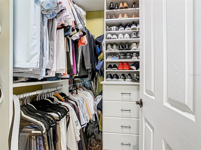 view of spacious closet