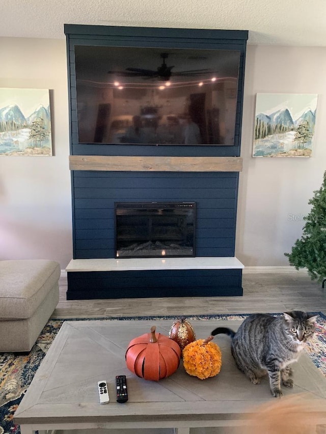 details with a large fireplace and a textured ceiling