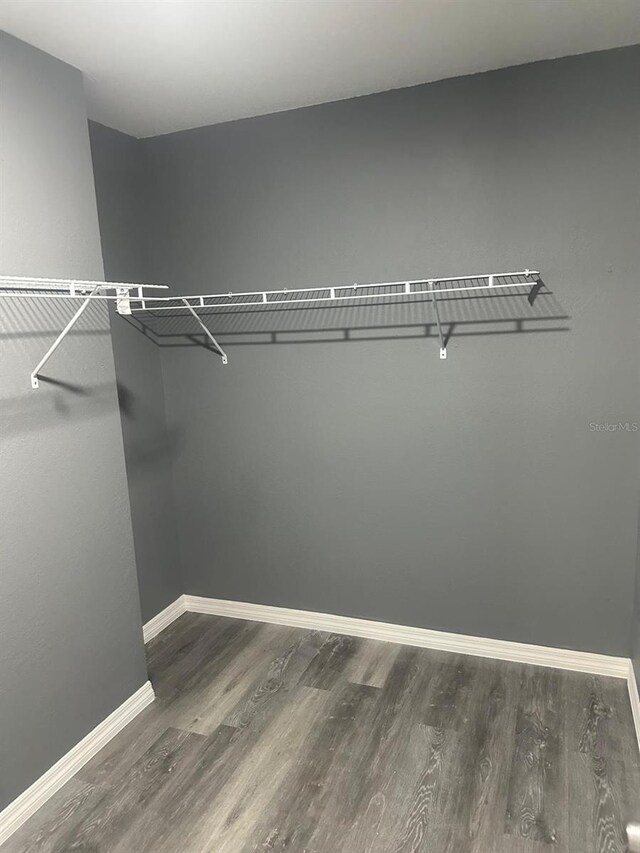 spacious closet featuring hardwood / wood-style floors