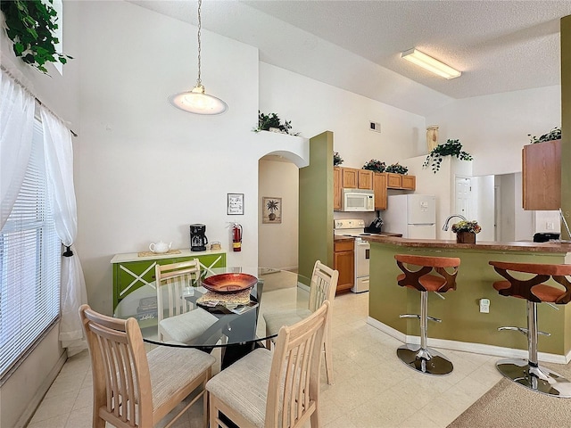 dining space featuring high vaulted ceiling