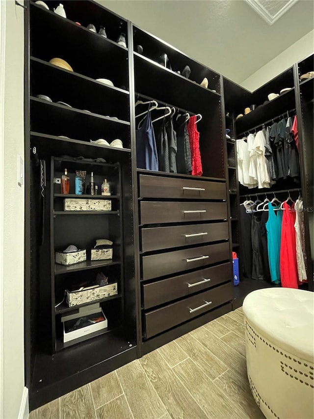 view of spacious closet