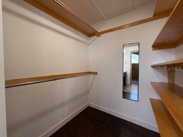 walk in closet with dark wood-type flooring