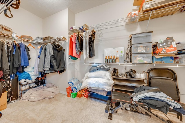 walk in closet with carpet floors