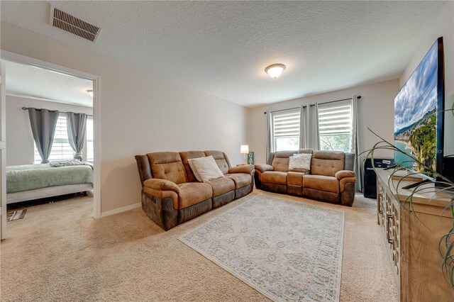 living room featuring a textured ceiling and light colored carpet