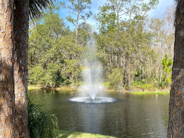 2022 Royal Bay Blvd Unit 93, Kissimmee, FL 34746 - water view