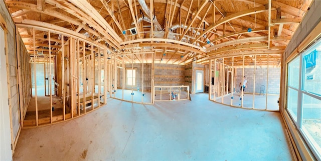 miscellaneous room featuring lofted ceiling and a wealth of natural light