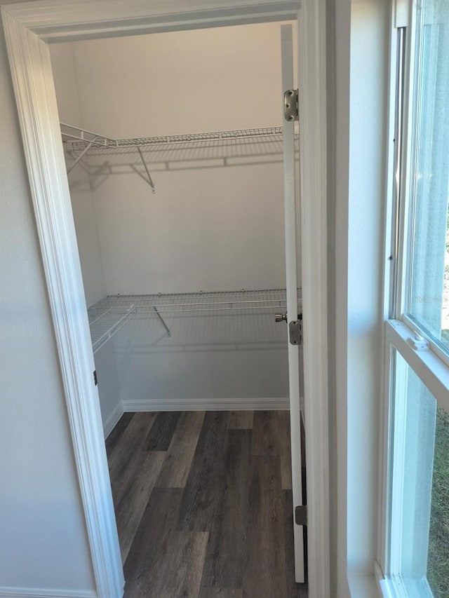 spacious closet featuring wood finished floors