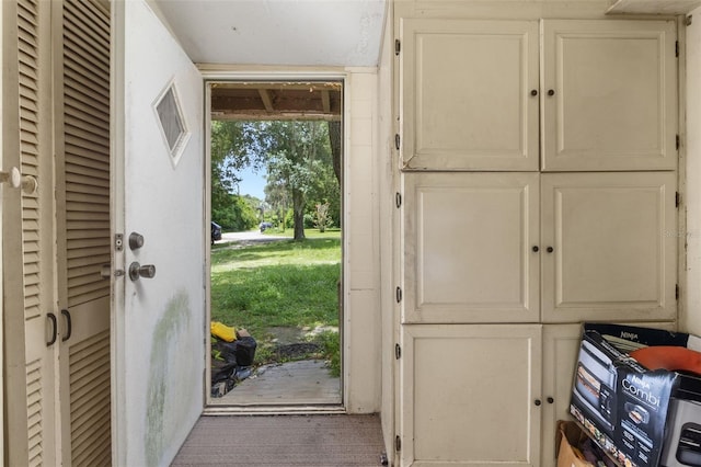 doorway with a wealth of natural light