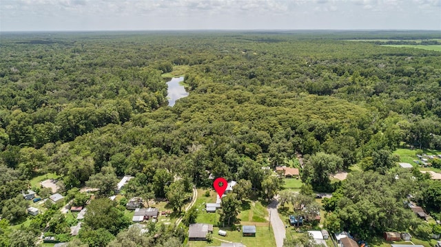 15184 Hernando Ave, Nobleton, FL 34661 - photo 34