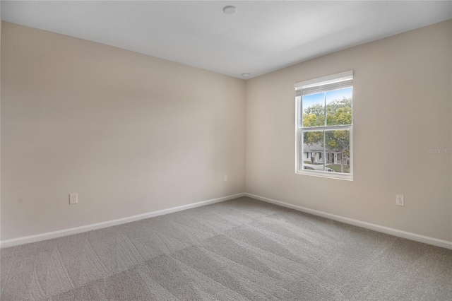 spare room with carpet floors