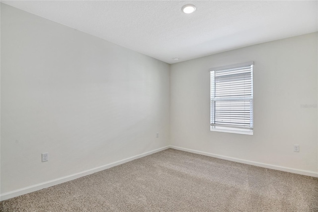 empty room featuring carpet and a textured ceiling