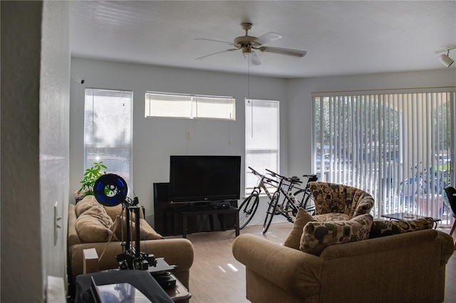 living room with a healthy amount of sunlight, hardwood / wood-style floors, and ceiling fan