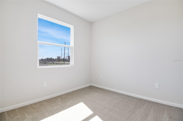 unfurnished room featuring carpet