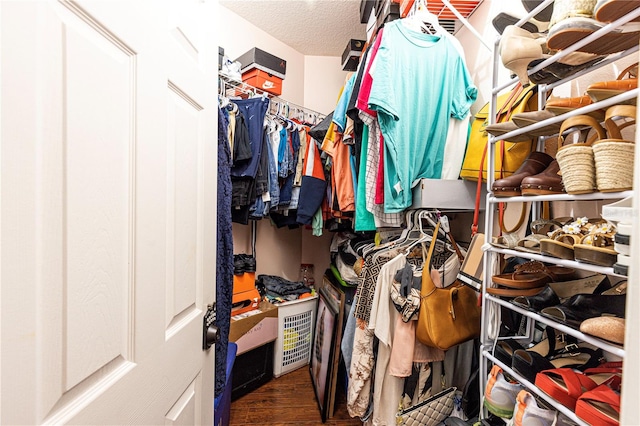 spacious closet featuring wood-type flooring