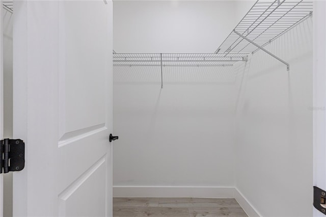 walk in closet with light hardwood / wood-style flooring