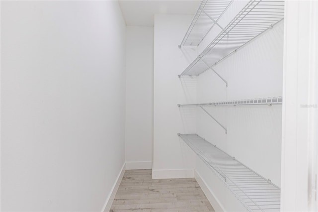 spacious closet with light wood-type flooring