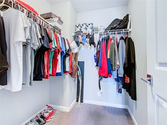 view of spacious closet