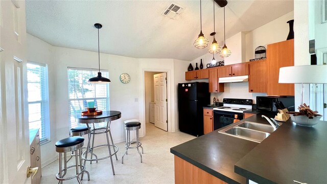 kitchen featuring black appliances, sink, vaulted ceiling, and hanging light fixtures