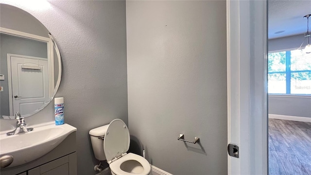 bathroom featuring vanity, toilet, and wood-type flooring