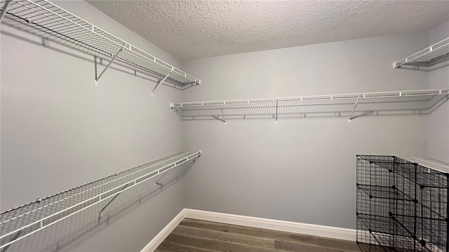 spacious closet featuring wood-type flooring