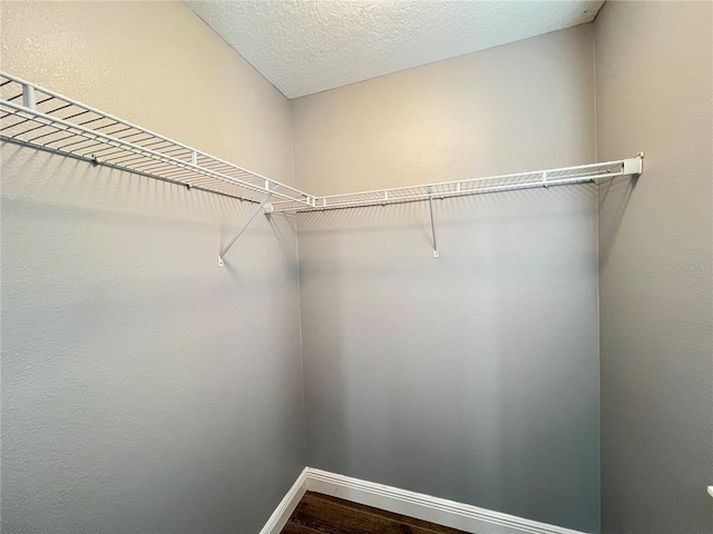 spacious closet featuring wood-type flooring