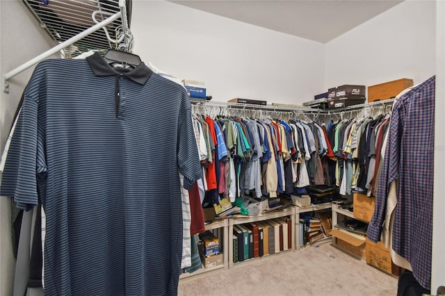 spacious closet with light colored carpet