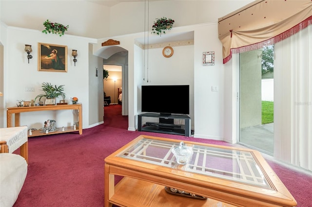 living room featuring carpet flooring