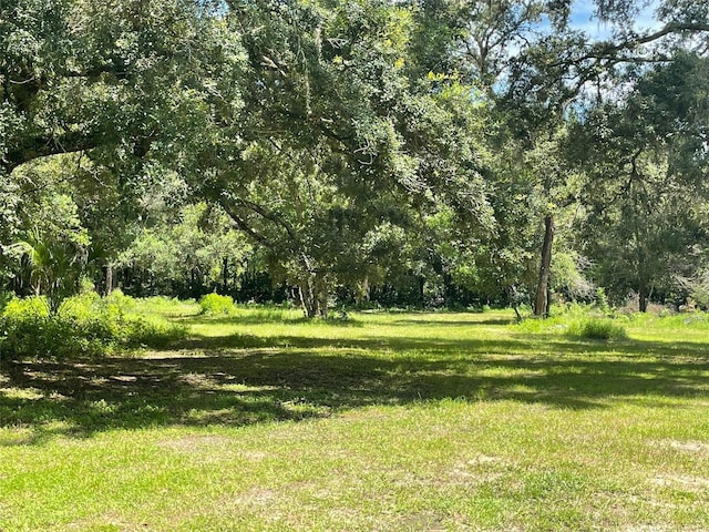 view of yard with a forest view